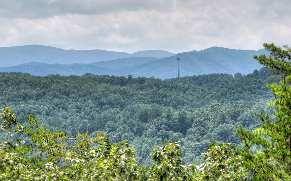 3AC Walkabout Creek Rd, Morganton, GA 30560 - photo 1