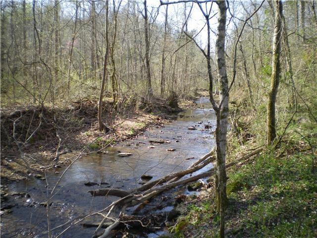 0 Hurricane Creek Rd unit RTC1290437, Linden, TN 37096 - photo 1