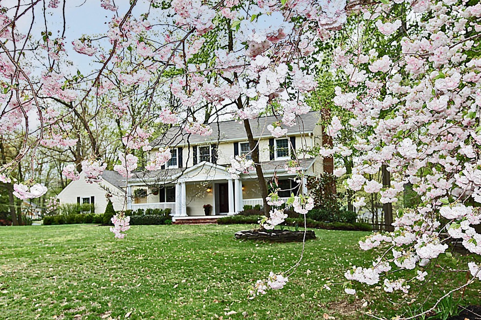 Welcome to 81 Tall Timber Road