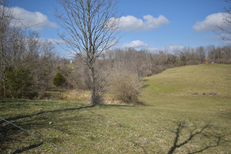 Sold $95,000 • Co-Listing Agent