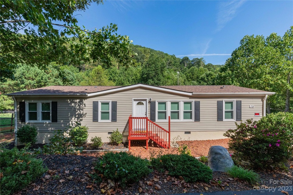 753 Starnes Cove Rd, Asheville, NC 28806 - photo 1