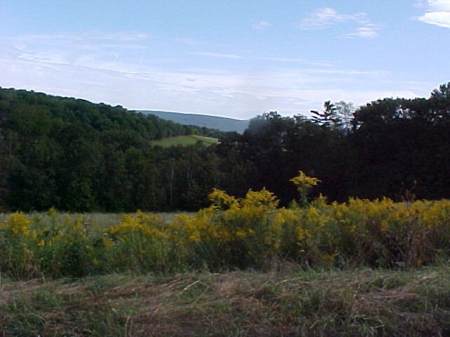 Main View