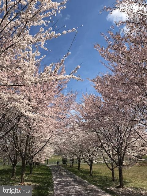 7356 Kennedy Rd, Nokesville, VA 20181 - photo 1