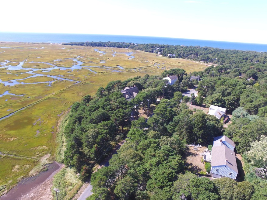 Marsh Views