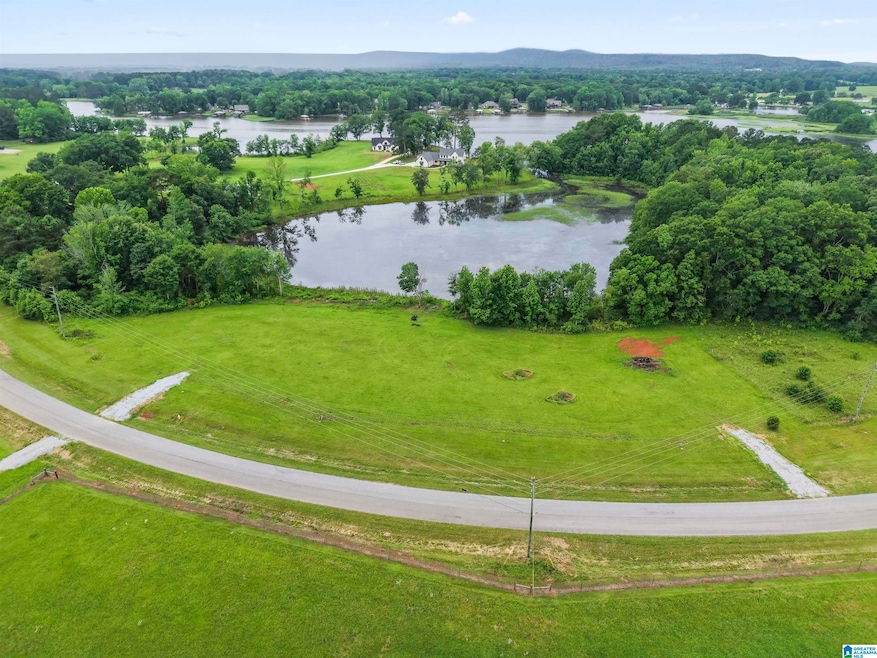 242 Lokey Dr, Wilsonville, AL 35186 - photo 1