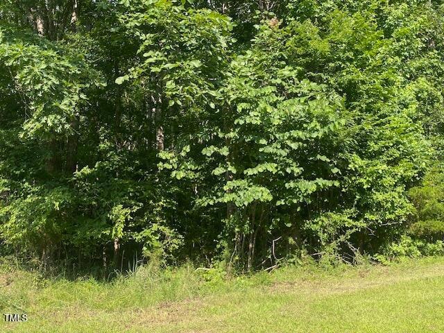 image0 (1)