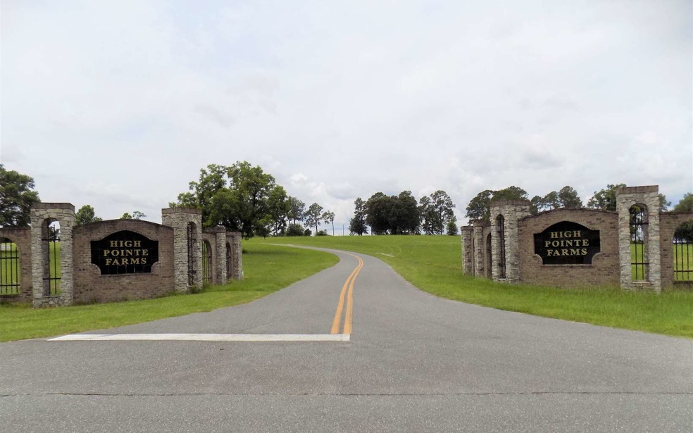 LOT11 High Pointe Farms, Lake City, FL 32055 - photo 1
