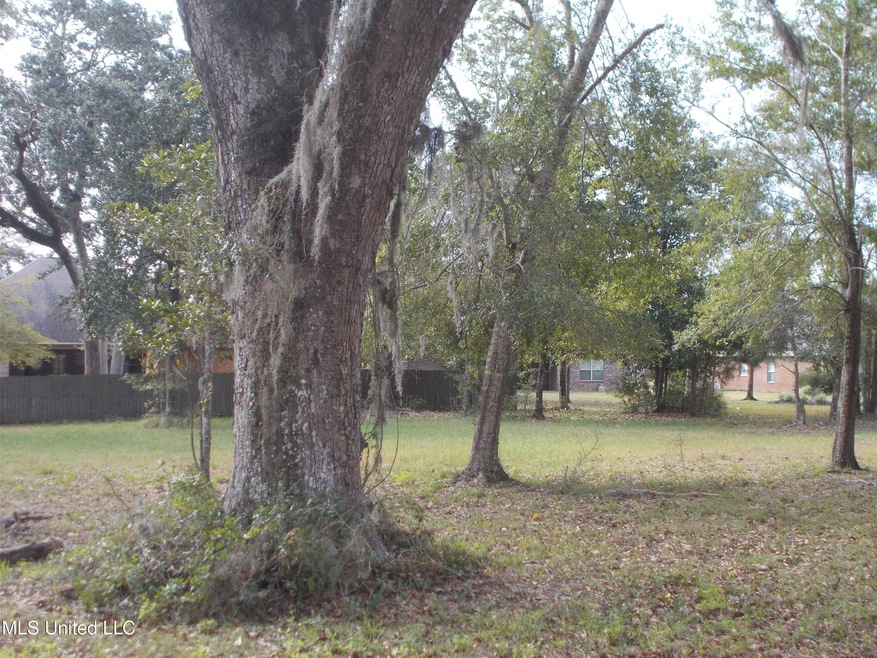 Land with Live Oaks