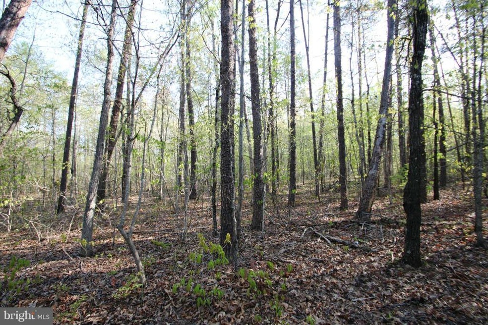 0 Roberts Ln unit 1003479014, Rixeyville, VA 22737 - photo 1