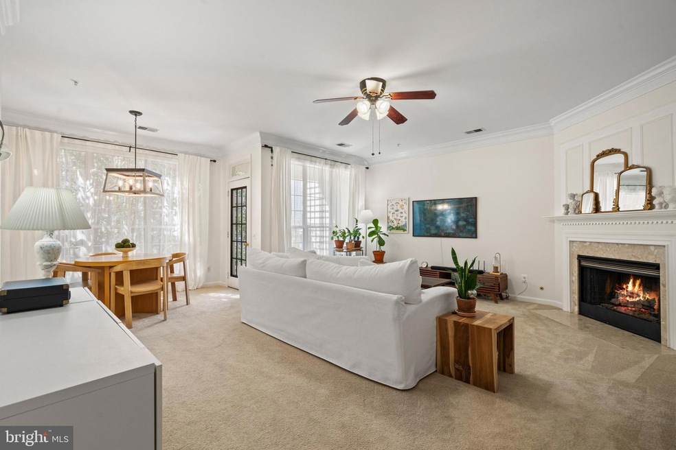 1724 Osage St unit 304, Alexandria, VA 22302 - photo 1