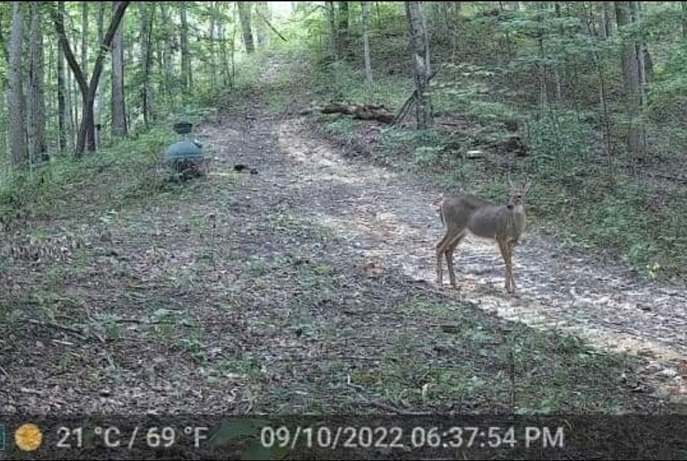 166 Big Run Rd, Olive Hill, KY 41164 MLS 54276