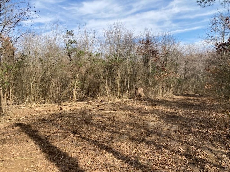 0000 Riddle Mill Rd, Clover, SC 29710 - photo 1