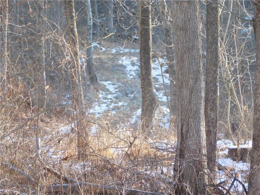 0 Chestnut Ridge Rd unit 4247055, Danville, OH 43014 - photo 1