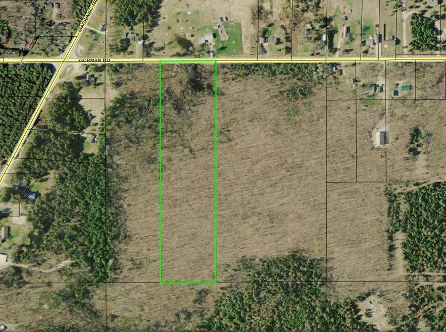 GIS MAP