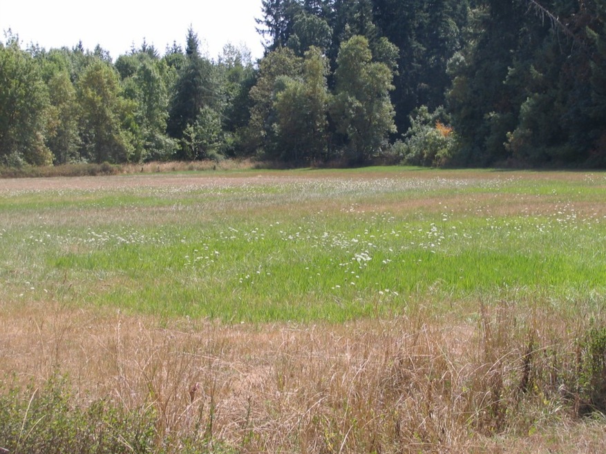 15643 Vail Cut Off Rd SE, Rainier, WA 98576 - photo 1