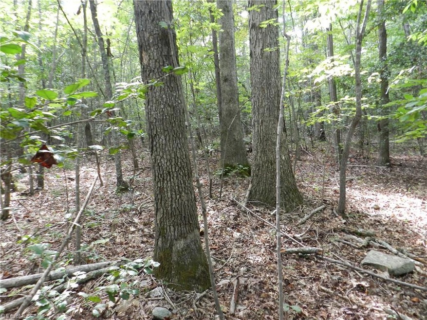 0 Burney Rd unit 811880, Asheboro, NC 27205 - photo 1