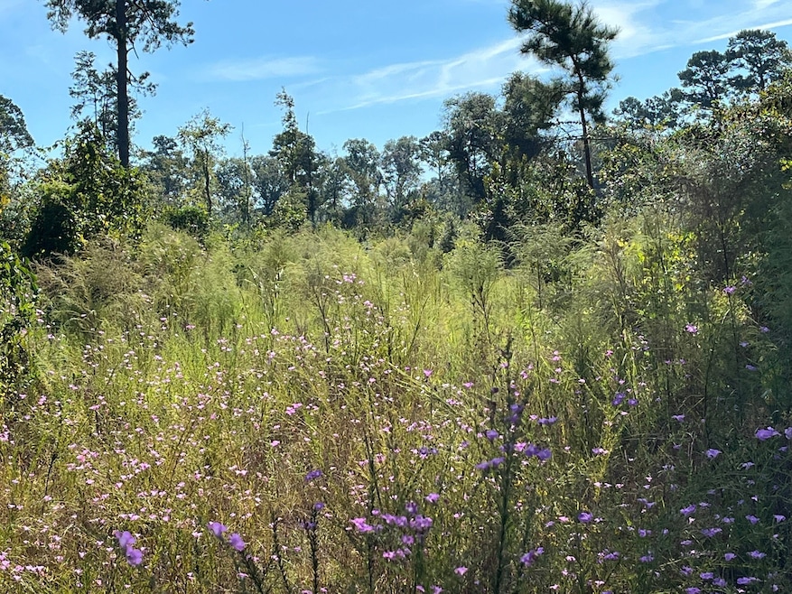 TBD Fm 1745 N, Colmesneil, TX 75938 - photo 1