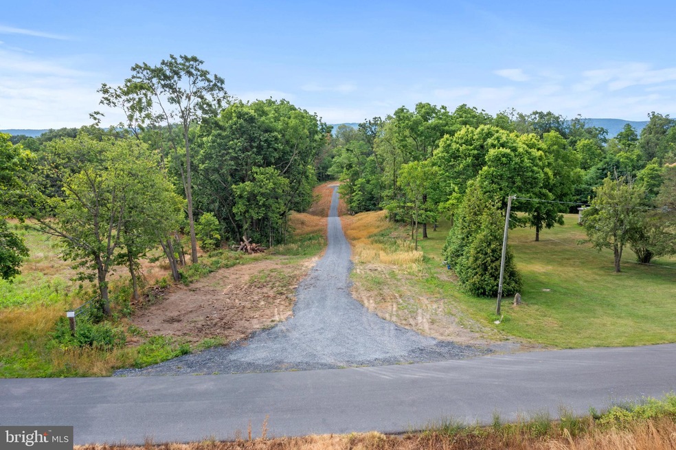 -0- Swartz Rd unit 3.2 & 3.9 ACRES, Woodstock, VA - photo 1