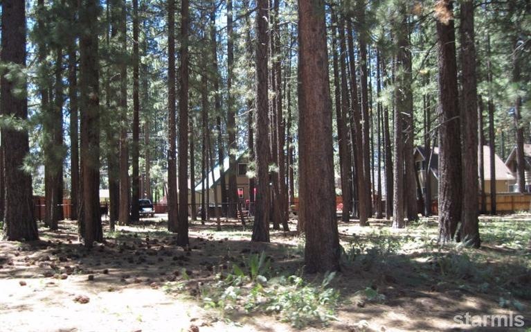 1506 Horace Greeley Ave, South Lake Tahoe, CA 96150 - photo 1