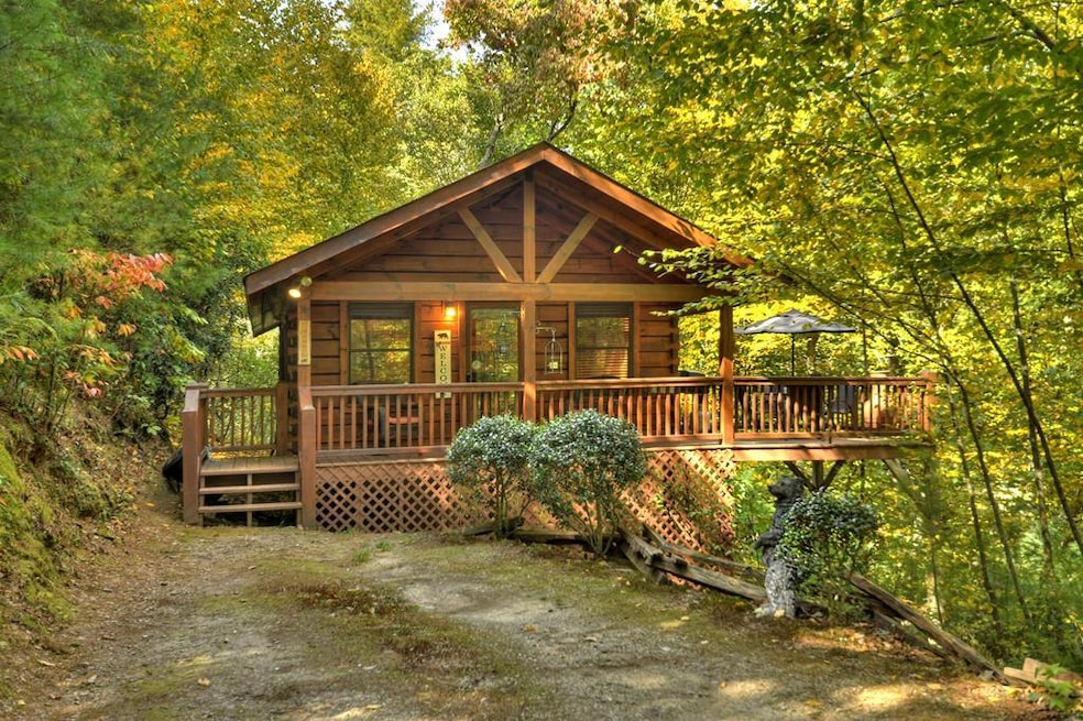 Main View