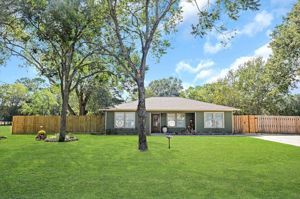 14206 Frances St, Needville, TX 77461 - photo 1