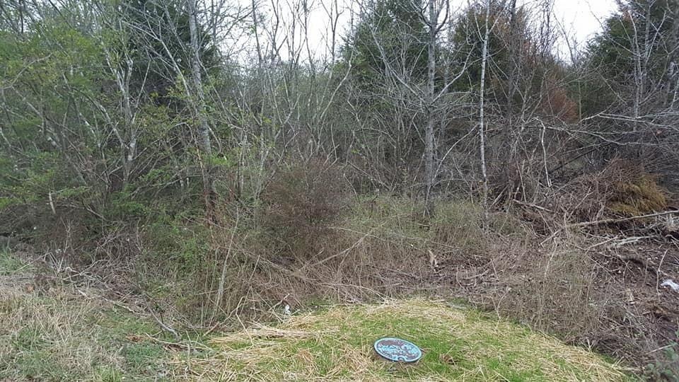 1 Bethany Ln, Shelbyville, TN 37160 - photo 1