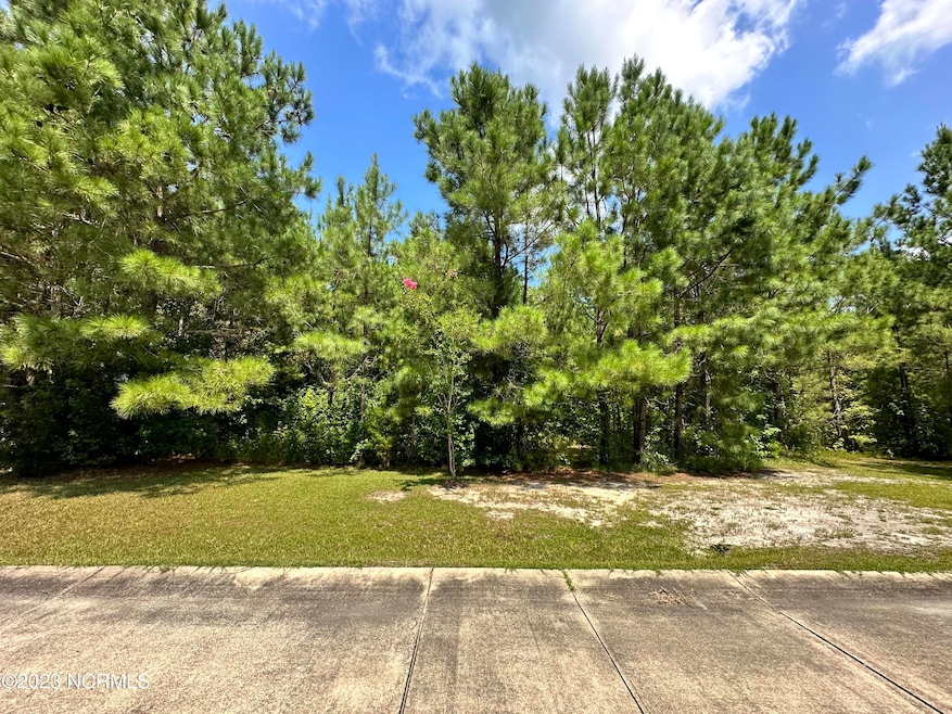 Lot 5