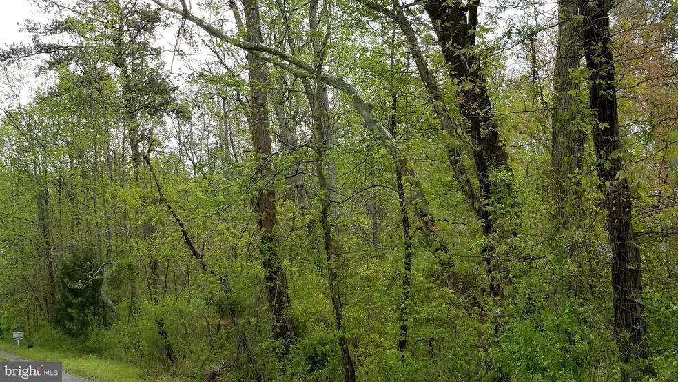 0 Allison Cir unit MDSM2010426, Mechanicsville, MD 20659 - photo 1