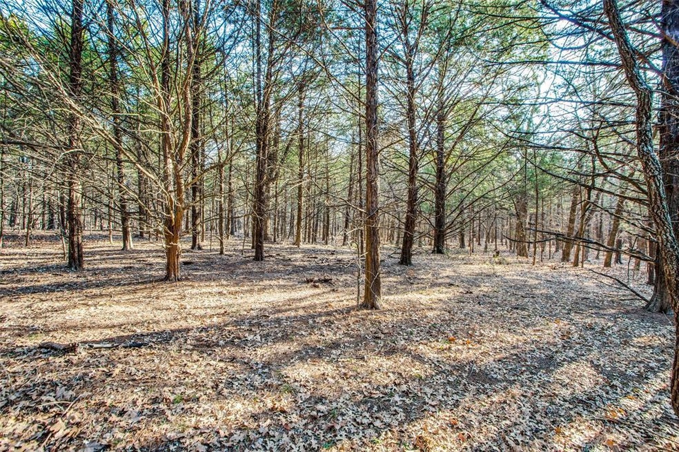 TBD9137 County Road 113, Whitesboro, TX 76273 - photo 1