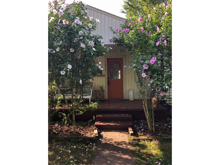 1004 E Market St, Johnson City, TN 37601 - photo 1