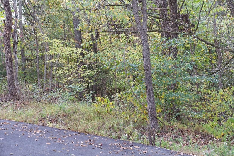 0 Hudson Ln, Bella Vista, AR 72715 - photo 1