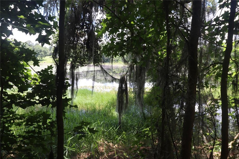 view of Glisson Lake