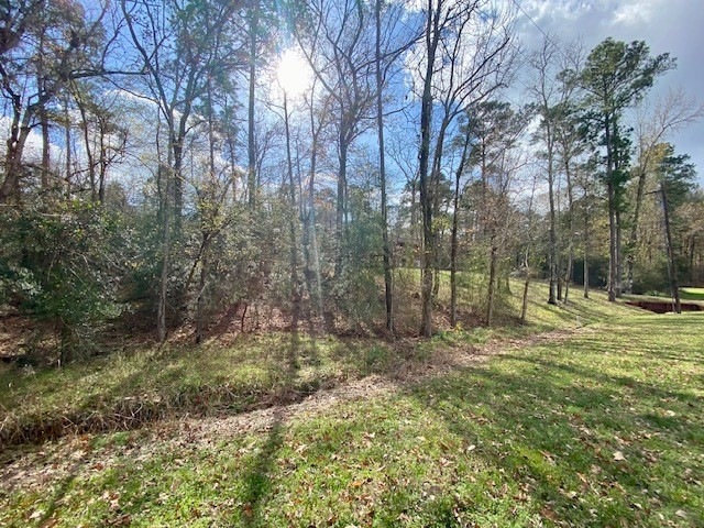 View of Lot