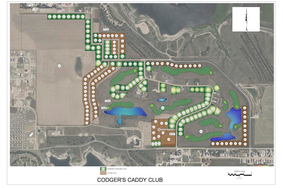 Codgers Caddy Club