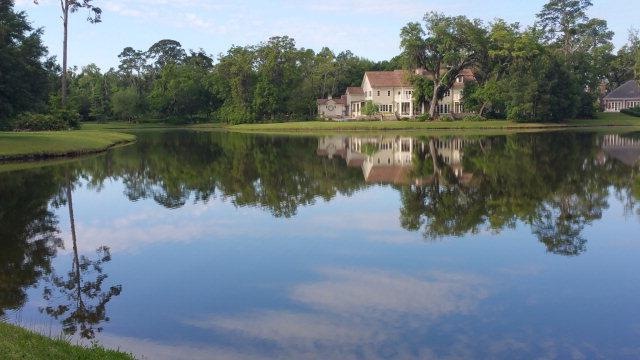 Main View