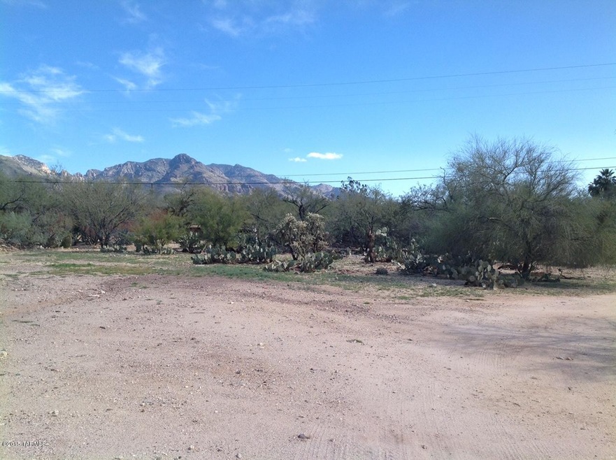 Sprawling Catalina Mtns to the north
