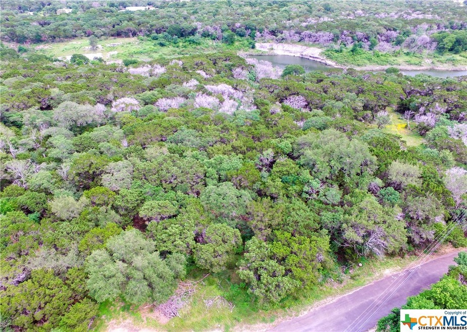 5329 Reef Ln, Temple, TX 76502 - photo 1