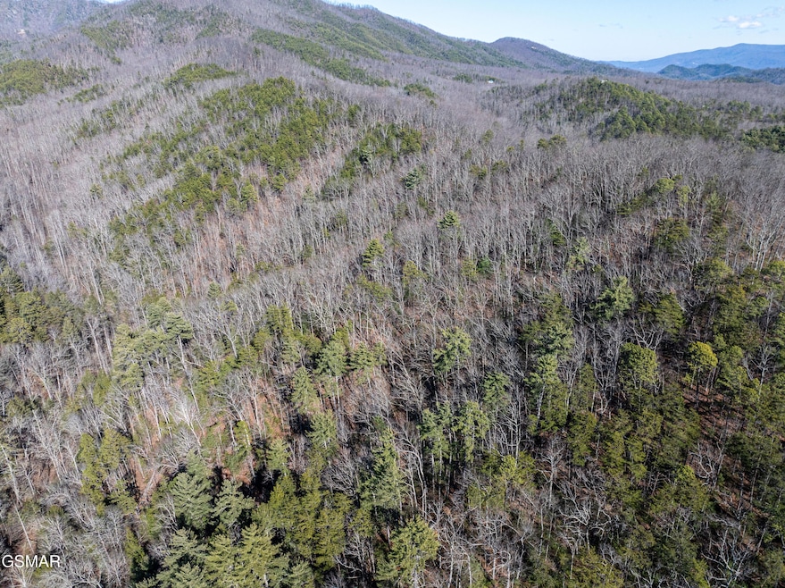 Tract 4 Wilhite Rd, Pittman Center, TN 37876 - photo 1