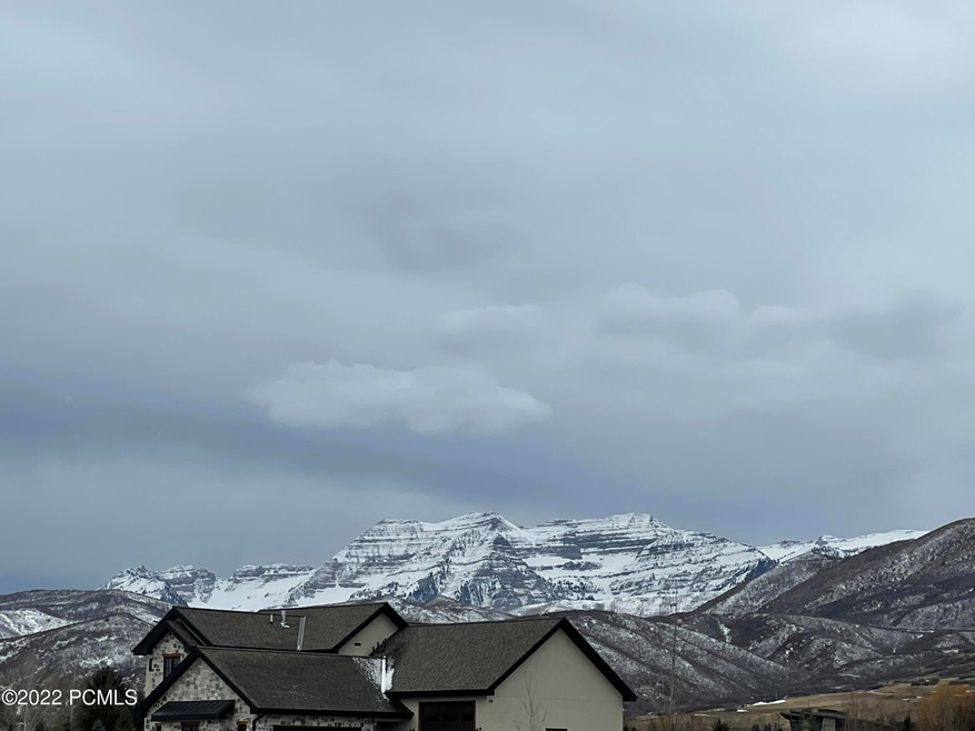 Timp Views
