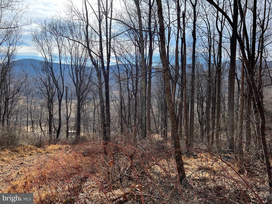 0 Harris Hollow Rd unit VARP2000934, Washington, VA 22747 - photo 1