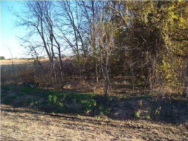 Lots of wildlife roam this property.