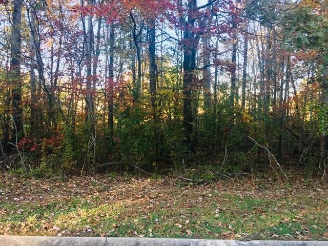 4012 Portage St, Franklin, TN 37064 - photo 1