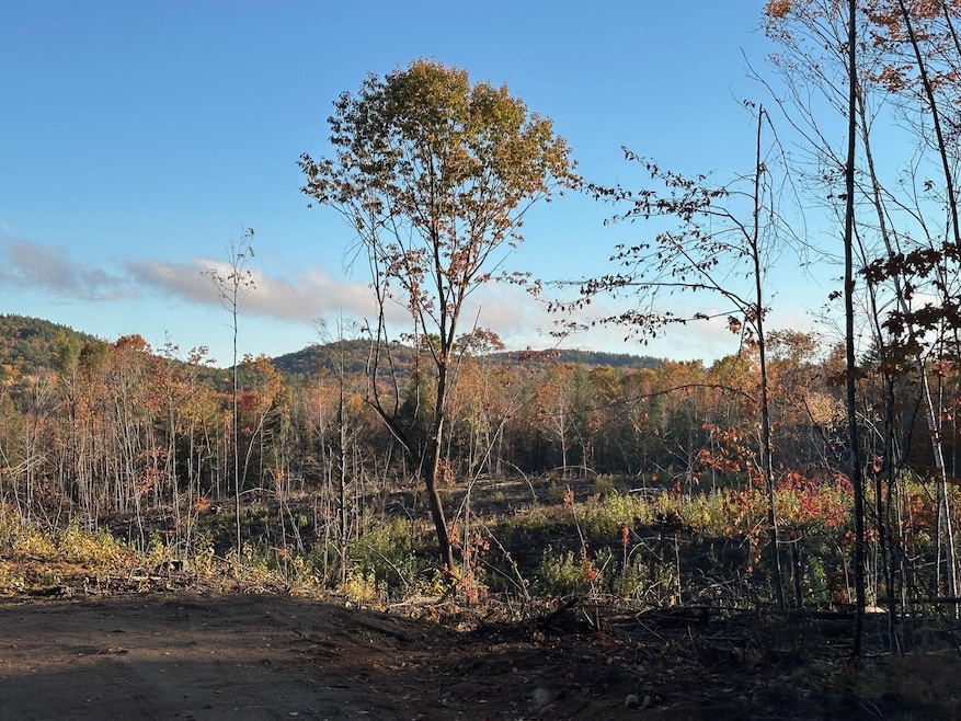 00 Thurley Rd unit 29-4, Ossipee, NH 03814 - photo 1