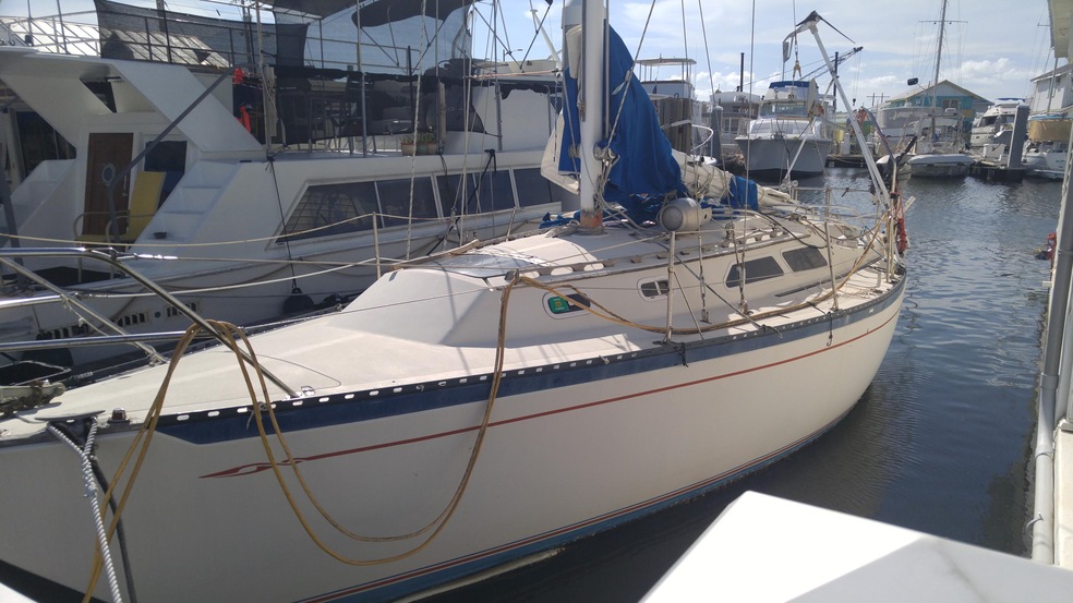 Tarpon 8