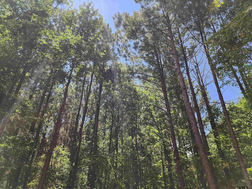 For Sale $75,500 • Co-Listing Agent