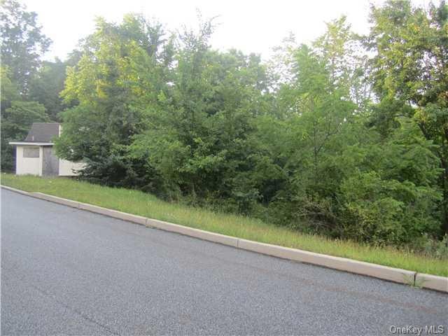 132 Walton Terrace, Monroe, NY 10950 - photo 1