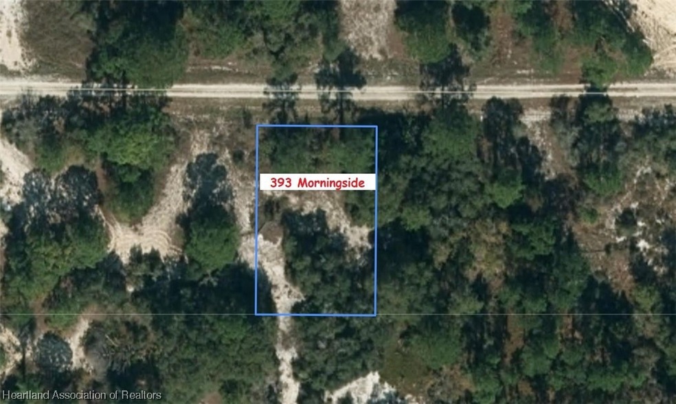 393 Morningside Dr, Lake Placid, FL 33852 - photo 1