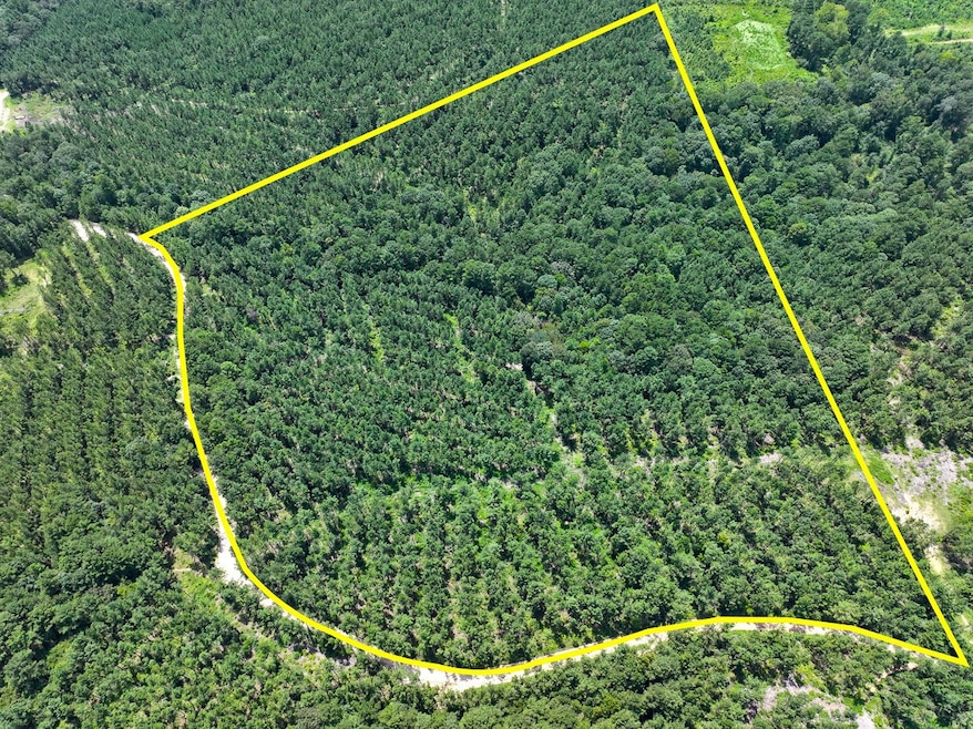 0 Slim Palmer Rd unit 93549026, Zavalla, TX 75949 - photo 1