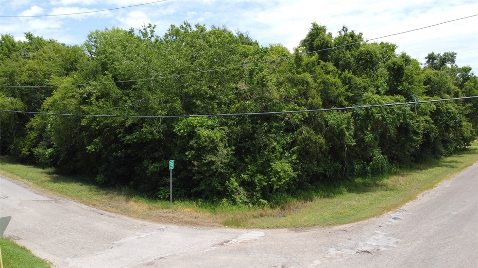 0 County Road 138 unit 75964648, Alvin, TX 77511 - photo 1