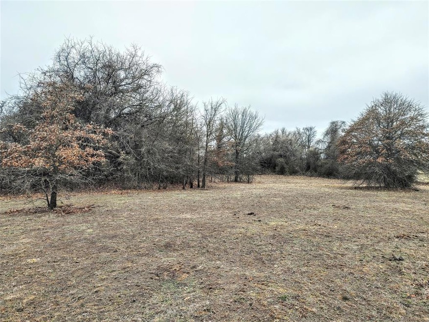 TBD County Road 4790, Boyd, TX 76023 - photo 1